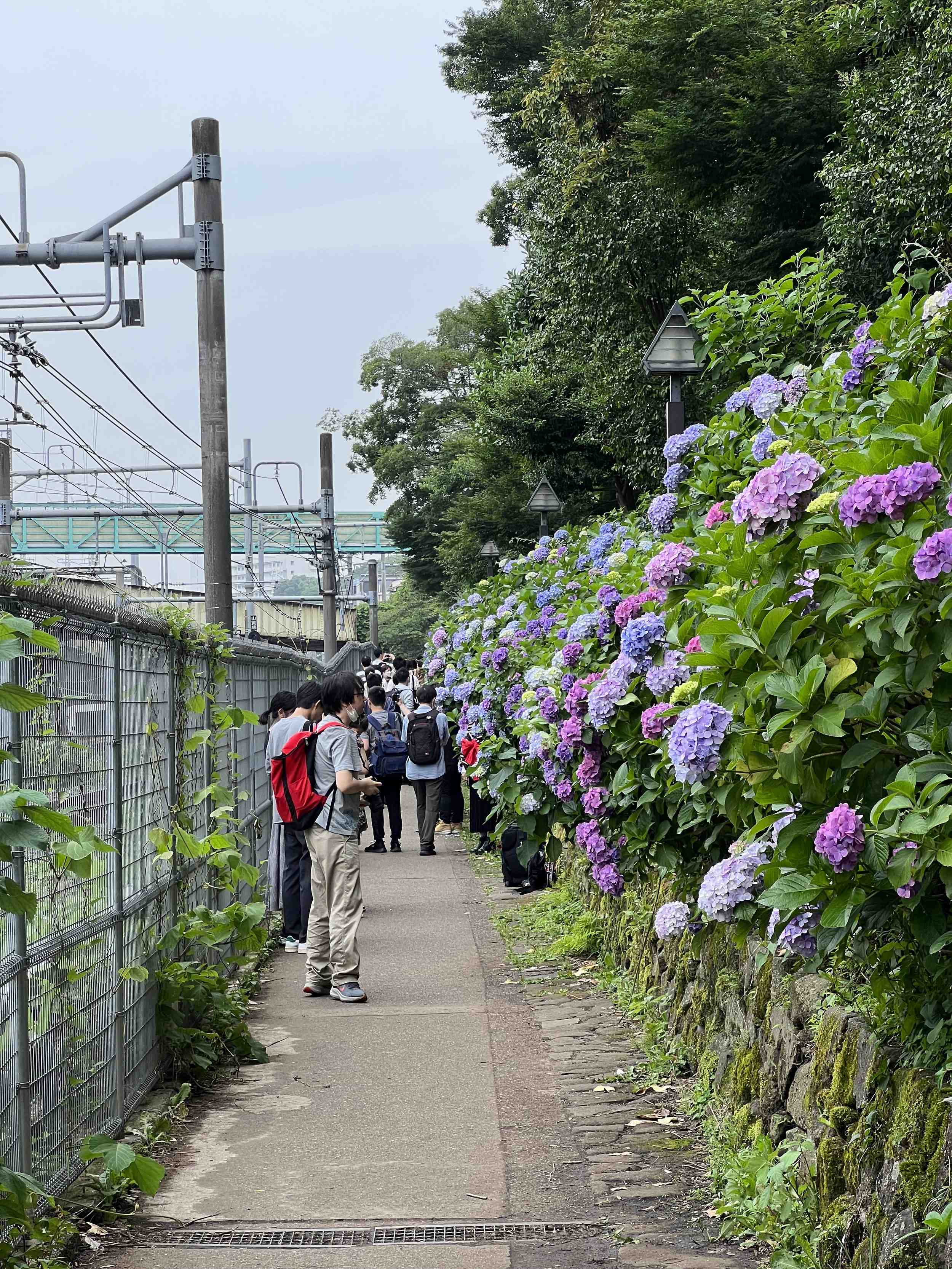 🌳 스미요시 자연공원(스미요시 시젠코엔) 이미지 5